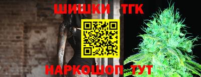 МДПВ Дубна
