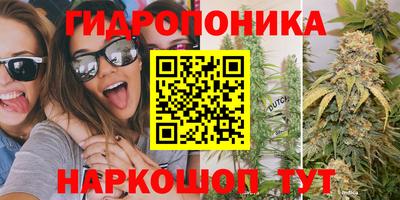 МДПВ Дубна
