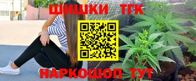 МДПВ Дубна