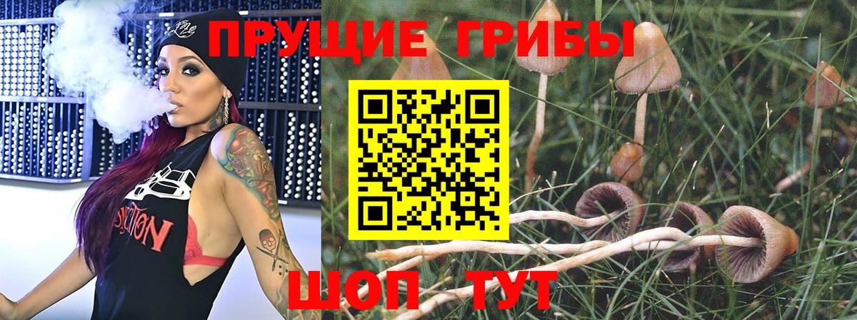 Галлюциногенные грибы мицелий  Вход с VPN  Миасс 